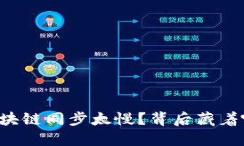 为什么狗狗币钱包区块链同步太慢？背后藏着哪些不为人知的秘密？