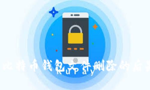 你真的知道比特币钱包文件删除的后果是什么吗？