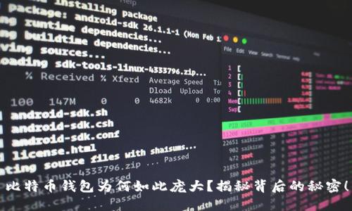 比特币钱包为何如此庞大？揭秘背后的秘密！