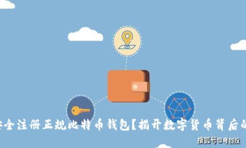 如何安全注册正规比特币钱包？揭开数字货币背后的秘密！