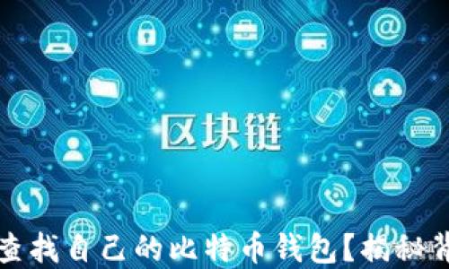
如何轻松查找自己的比特币钱包？揭秘背后的秘密