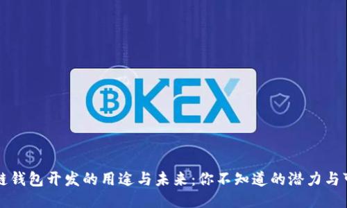 区块链钱包开发的用途与未来：你不知道的潜力与可能性