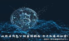 比特币钱包公钥查询指南