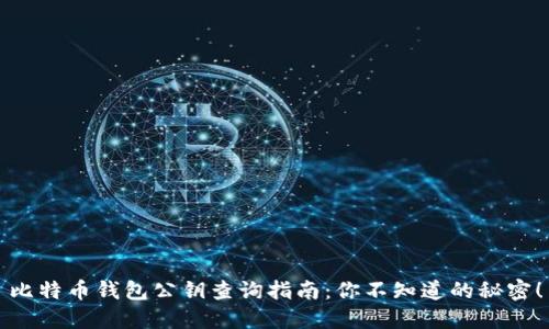 比特币钱包公钥查询指南：你不知道的秘密！