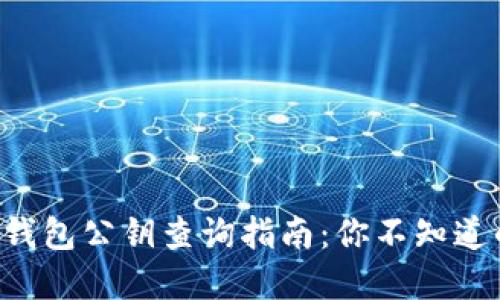 比特币钱包公钥查询指南：你不知道的秘密！