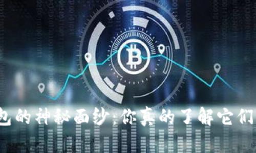 揭开比特币钱包的神秘面纱：你真的了解它们的背后秘密吗？