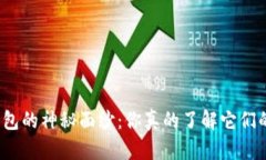 揭开比特币钱包的神秘面