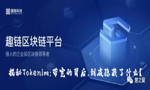 揭秘Tokenim：带宽的背后，到底隐藏了什么？