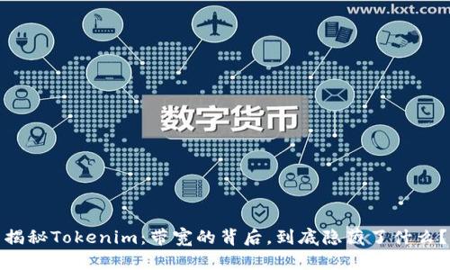 揭秘Tokenim：带宽的背后，到底隐藏了什么？