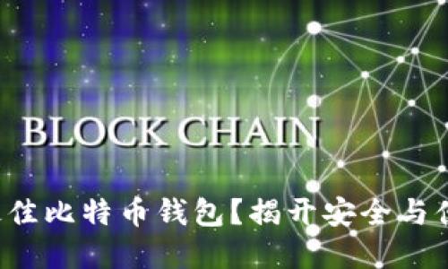 如何选择最佳比特币钱包？揭开安全与便利的秘密！