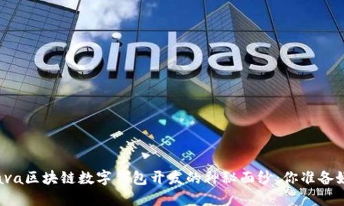 揭开Java区块链数字钱包开发的神秘面纱：你准备好了吗？