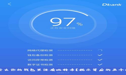 为什么你的钱包里没有比特币？揭示背后的五个秘密