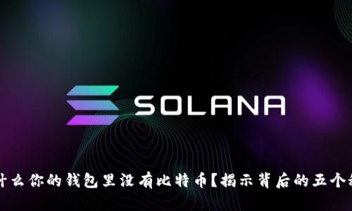 为什么你的钱包里没有比特币？揭示背后的五个秘密