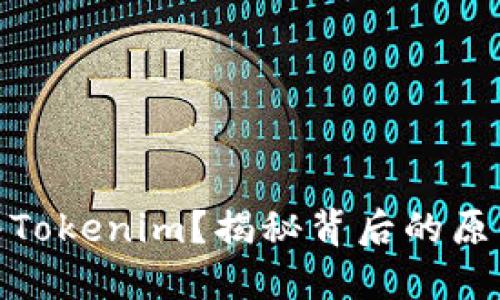 USDT无法转入Tokenim？揭秘背后的原因和解决办法！