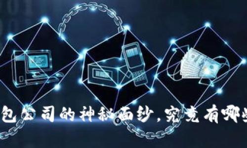 揭开广州虚拟币钱包公司的神秘面纱，究竟有哪些不为人知的秘密？