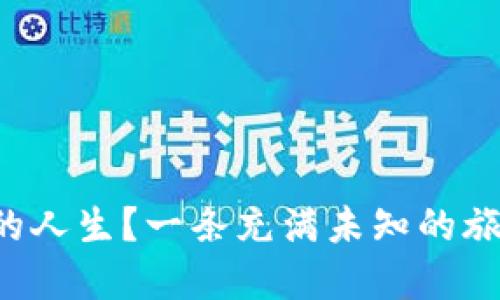 你会选择怎样的人生？一条充满未知的旅程等你来探索！