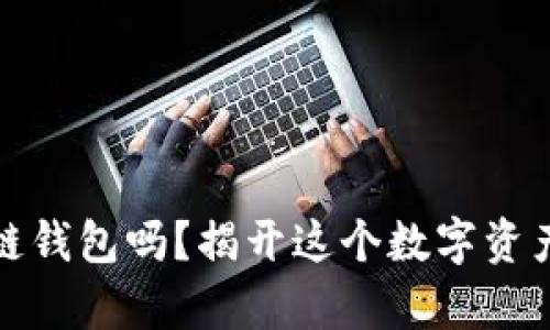 你真的了解区块链钱包吗？揭开这个数字资产世界的神秘面纱