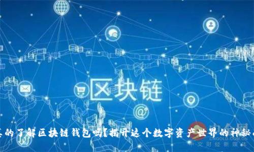 你真的了解区块链钱包吗？揭开这个数字资产世界的神秘面纱