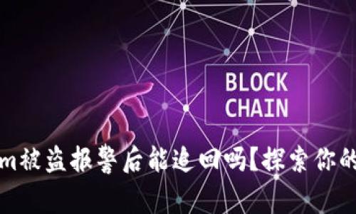 ### Tokenim被盗报警后能追回吗？探索你的选择与可能性