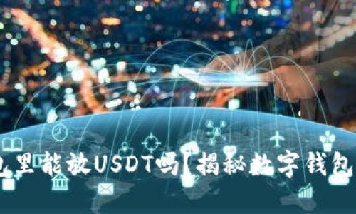 ETH钱包里能放USDT吗？揭秘数字钱包的秘密！