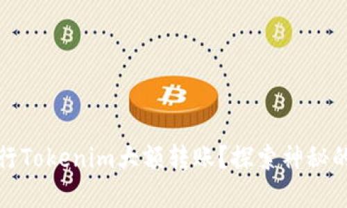 如何安全地进行Tokenim大额转账？探索神秘的数字货币之旅