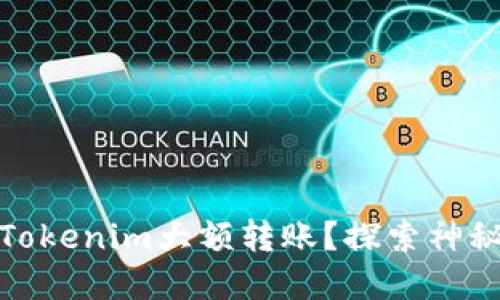 如何安全地进行Tokenim大额转账？探索神秘的数字货币之旅