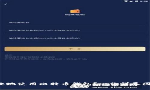 如何安全高效地使用比特币钱包？一份详尽图文教程揭秘!