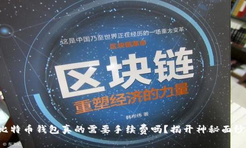 比特币钱包真的需要手续费吗？揭开神秘面纱！