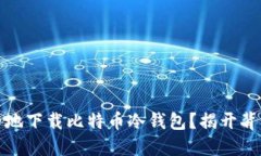 如何安全地下载比特币冷