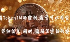 TokenIM（Token Instant Messagi