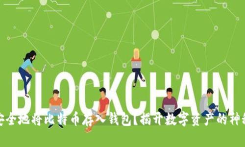 如何安全地将比特币存入钱包？揭开数字资产的神秘面纱