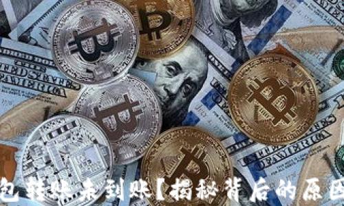 
比特币冷钱包转账未到账？揭秘背后的原因与解决方案