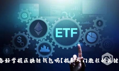 你准备好掌握区块链钱包吗？揭秘入门教程的关键技巧！