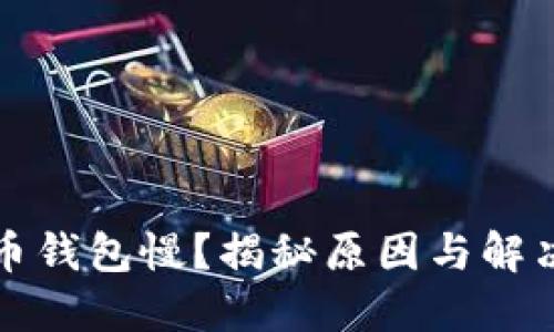 比特币钱包慢？揭秘原因与解决方案
