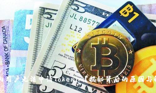 为何国内用户无法申请Tokenim？揭秘背后的原因与解决方案