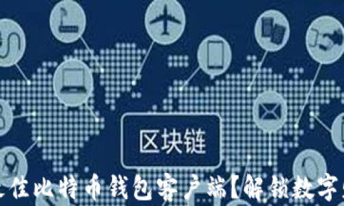 
如何选择最佳比特币钱包客户端？解锁数字财富的秘密