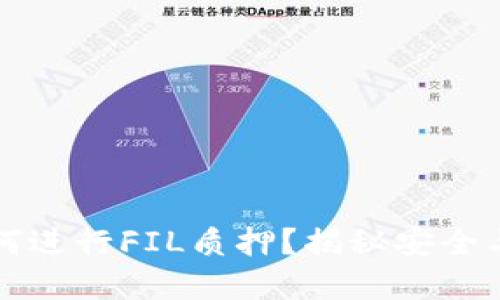 IM Token钱包如何进行FIL质押？揭秘安全与收益的完美平衡!