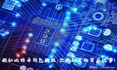 揭秘比特币钱包数据：你
