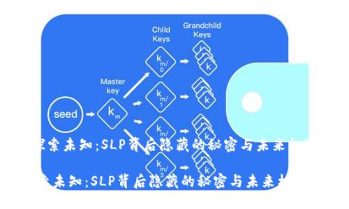 《探索未知：SLP背后隐藏的秘密与未来机遇》

探索未知：SLP背后隐藏的秘密与未来机遇