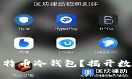 如何选择安全的比特币冷钱包？揭开数字资产保护的秘密