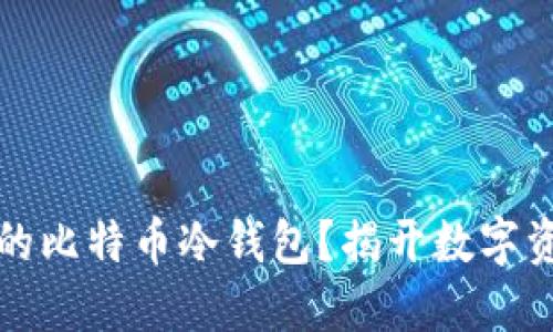 如何选择安全的比特币冷钱包？揭开数字资产保护的秘密