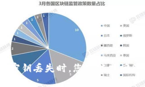 当Tokenim钱包密钥丢失时，您还能找回您的数字资产吗？