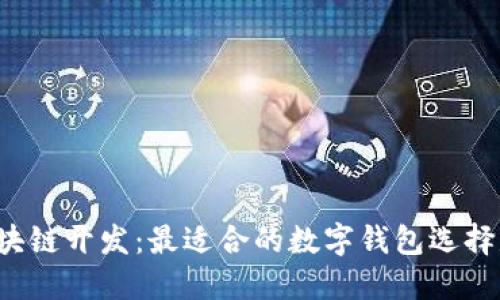 阳泉区块链开发：最适合的数字钱包选择是什么？