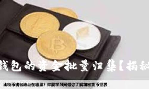 如何高效进行Tokenim钱包的资金批量归集？揭秘背后的技巧与注意事项