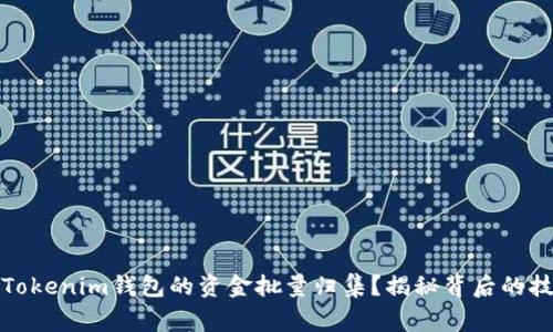 如何高效进行Tokenim钱包的资金批量归集？揭秘背后的技巧与注意事项