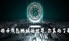 揭秘比特币钱包地址的世