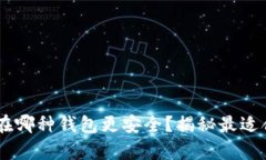 USDT存在哪种钱包更安全？