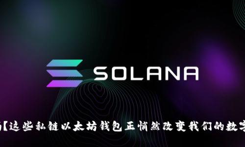  你知道吗？这些私链以太坊钱包正悄然改变我们的数字资产世界