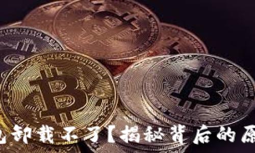   
比特币核心钱包卸载不了？揭秘背后的原因与解决方案！