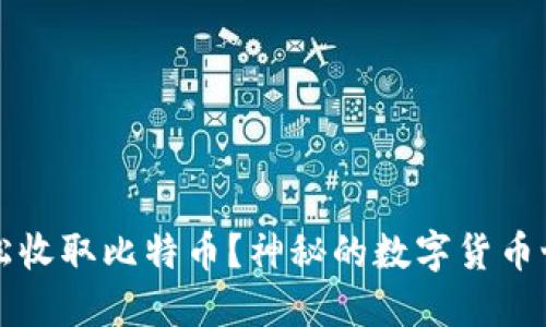如何在钱包上轻松收取比特币？神秘的数字货币世界等待您的探索